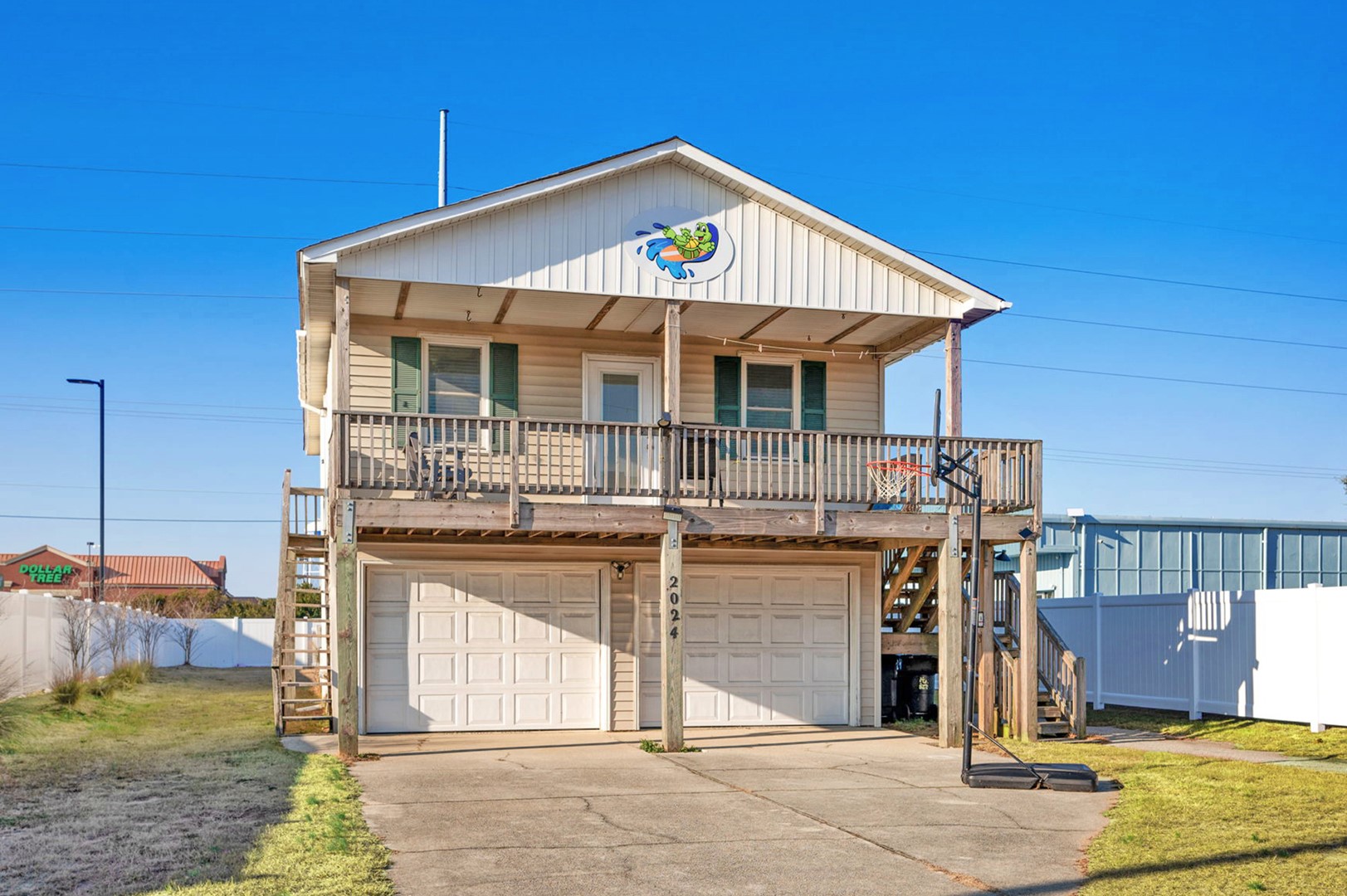 321 Turtle Shell - Sun