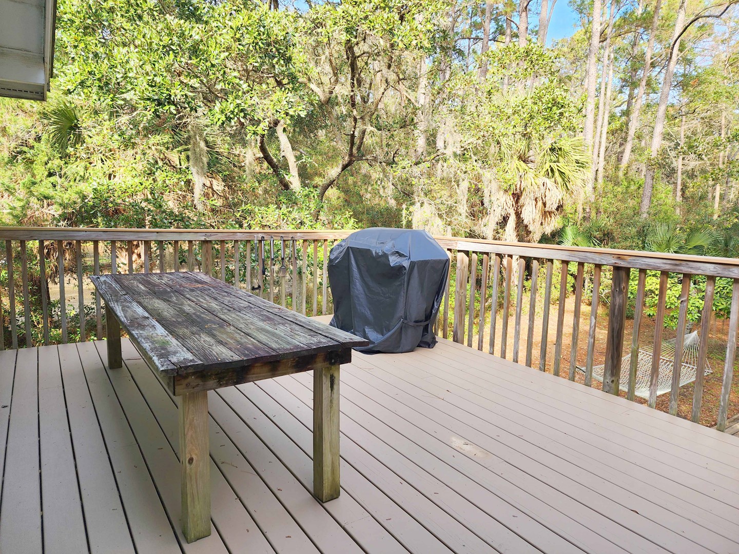 Sundeck with Grill and Outdoor Dining Area
