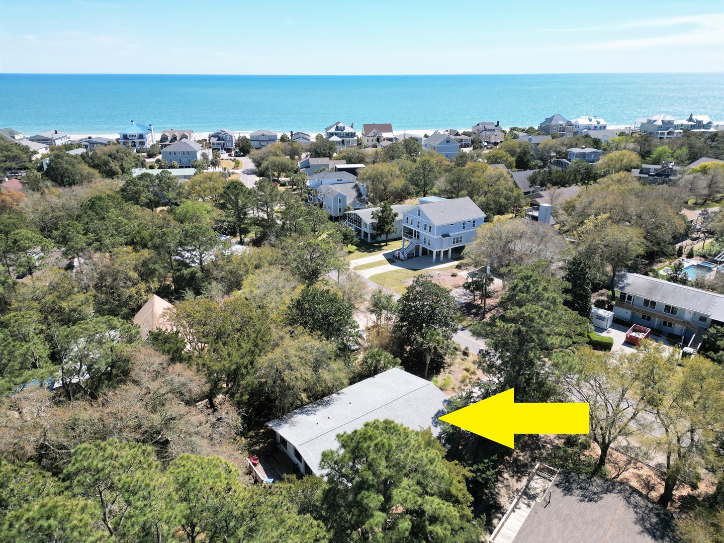 Blue Anchor - Dog Friendly 3