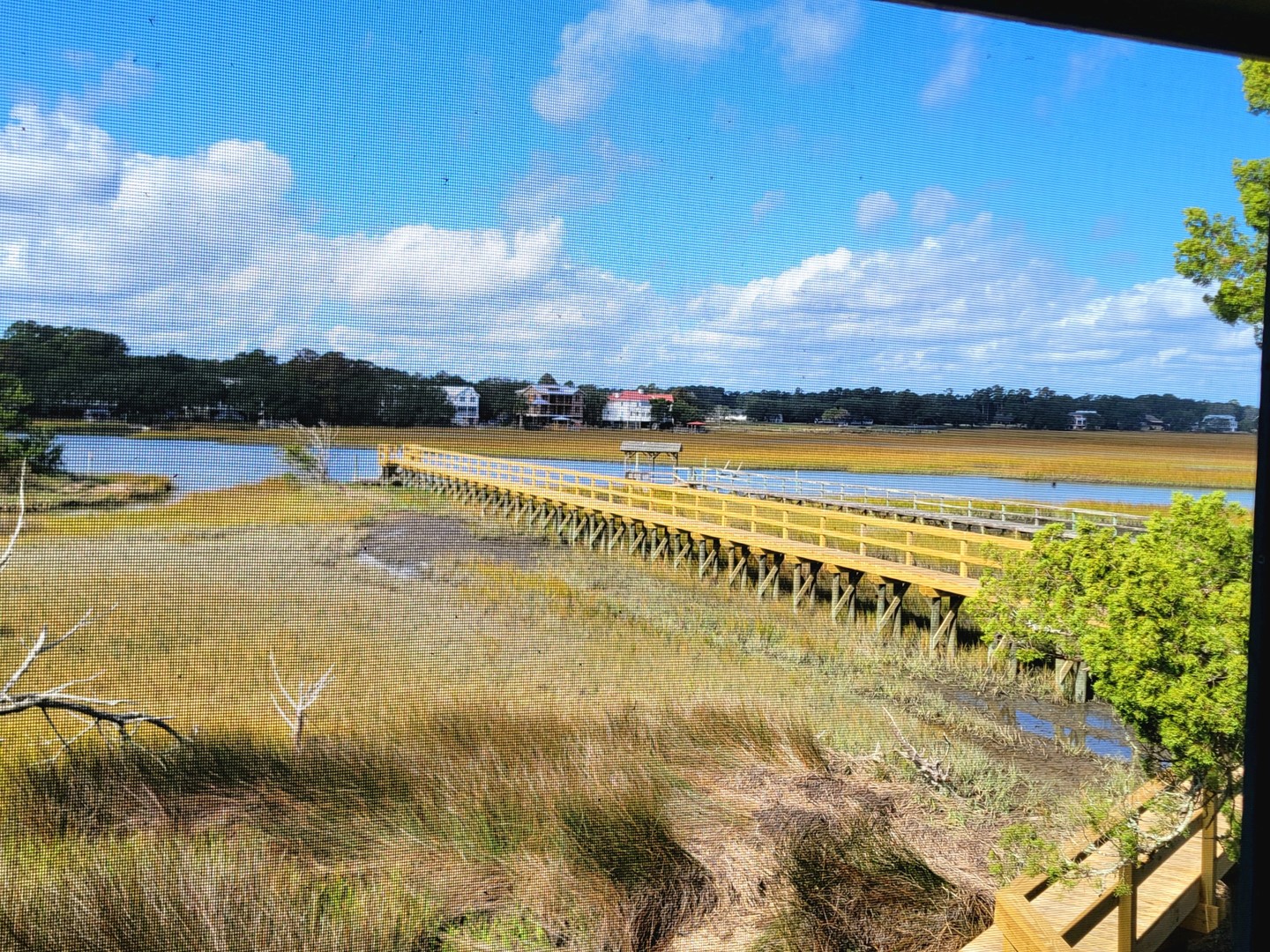 View from Screened Porch