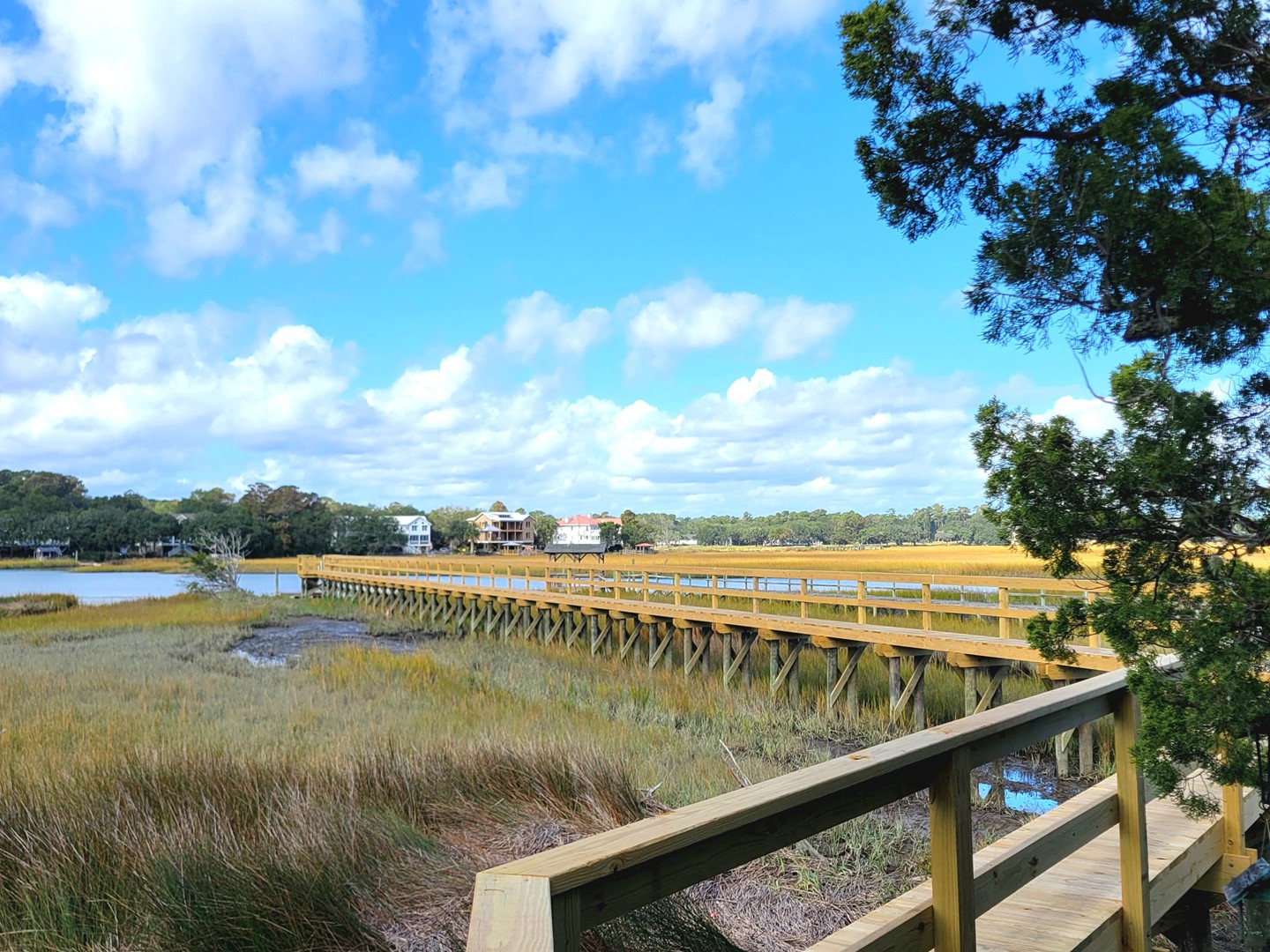 Collins Creek House 3