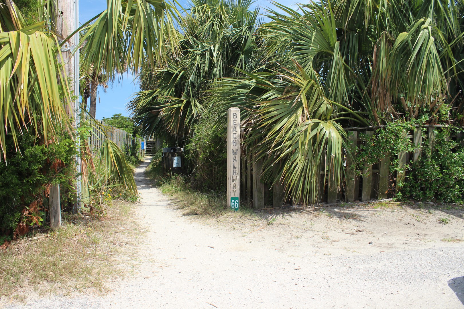 Pathway to Beach Access