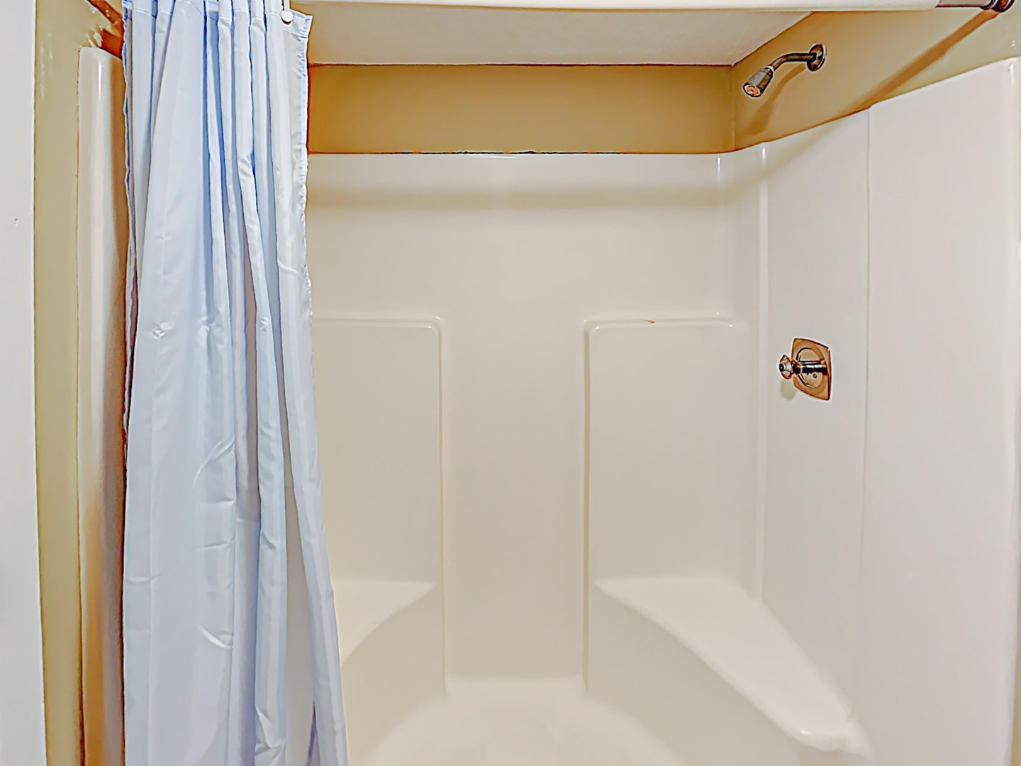 Master Bathroom Shower