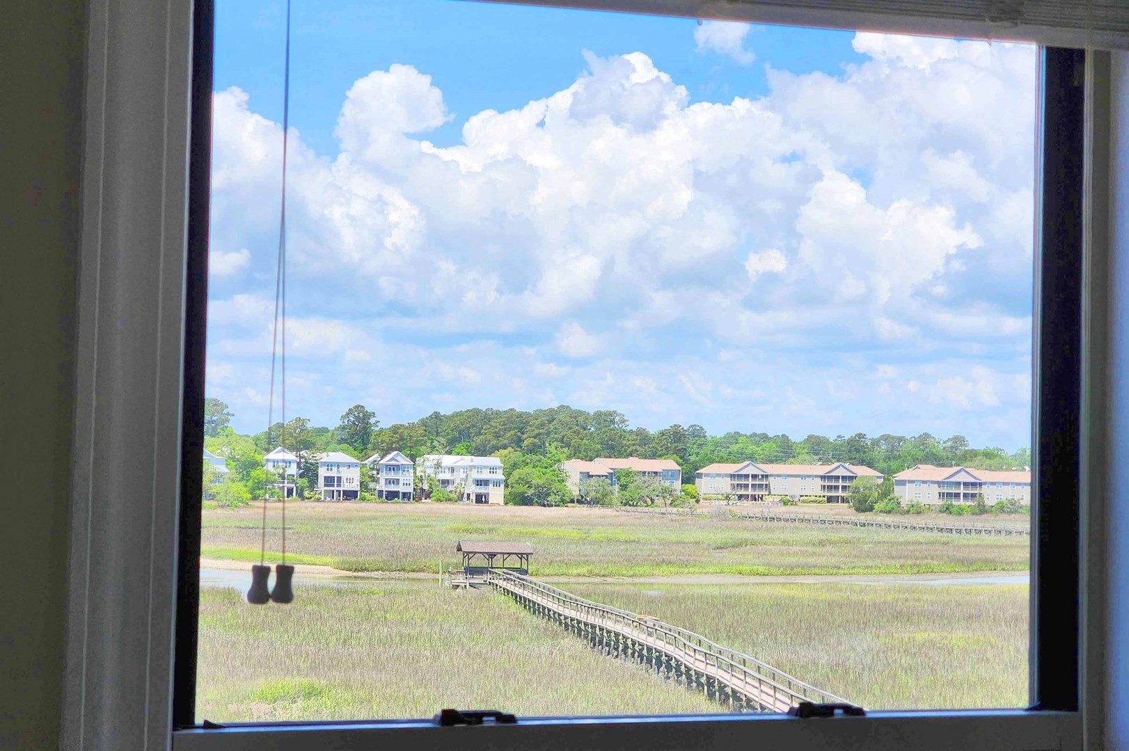 View From Carolina Room