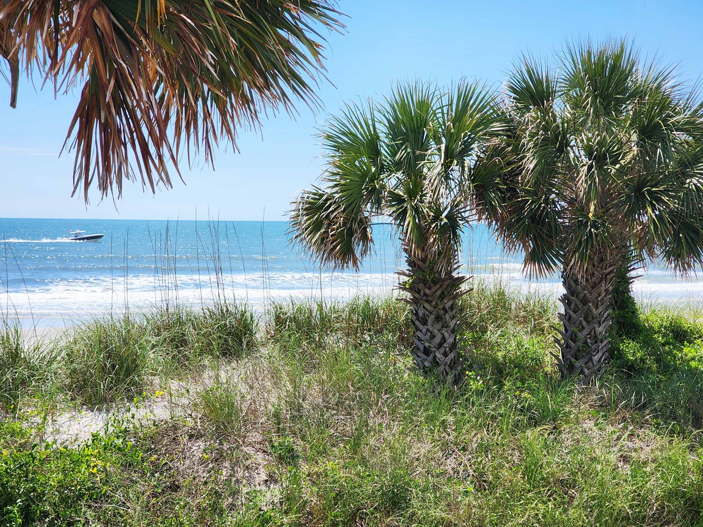 Spectacular Views from Sundeck