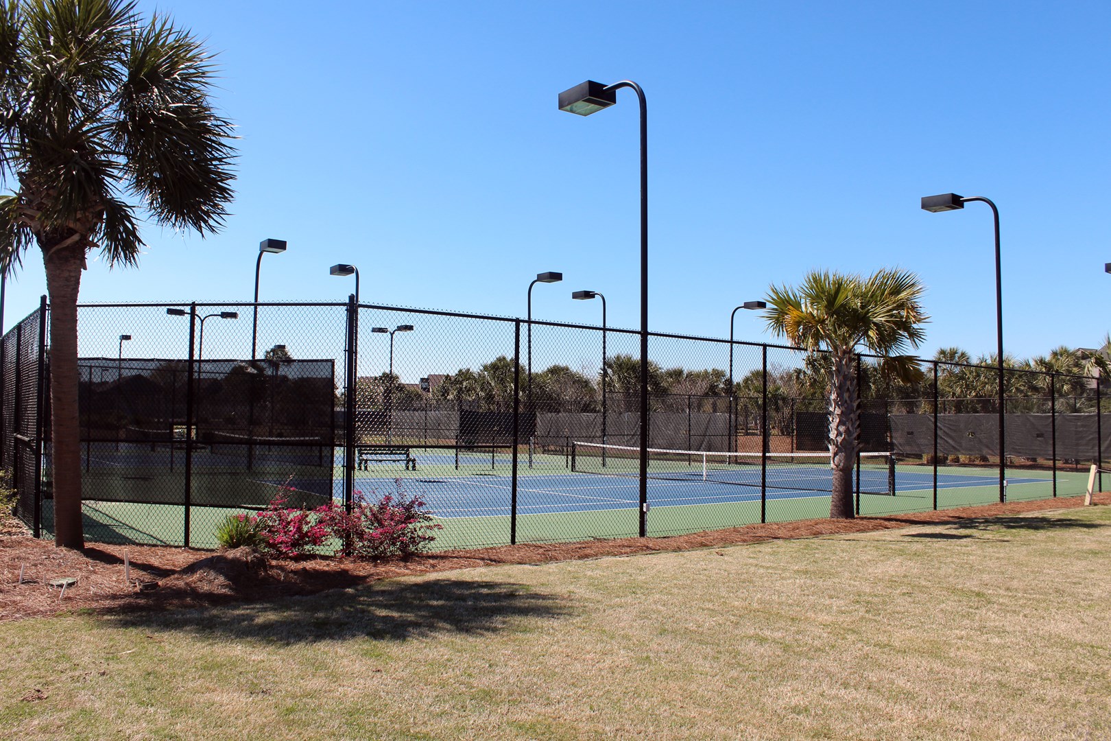 Lighted Tennis Courts