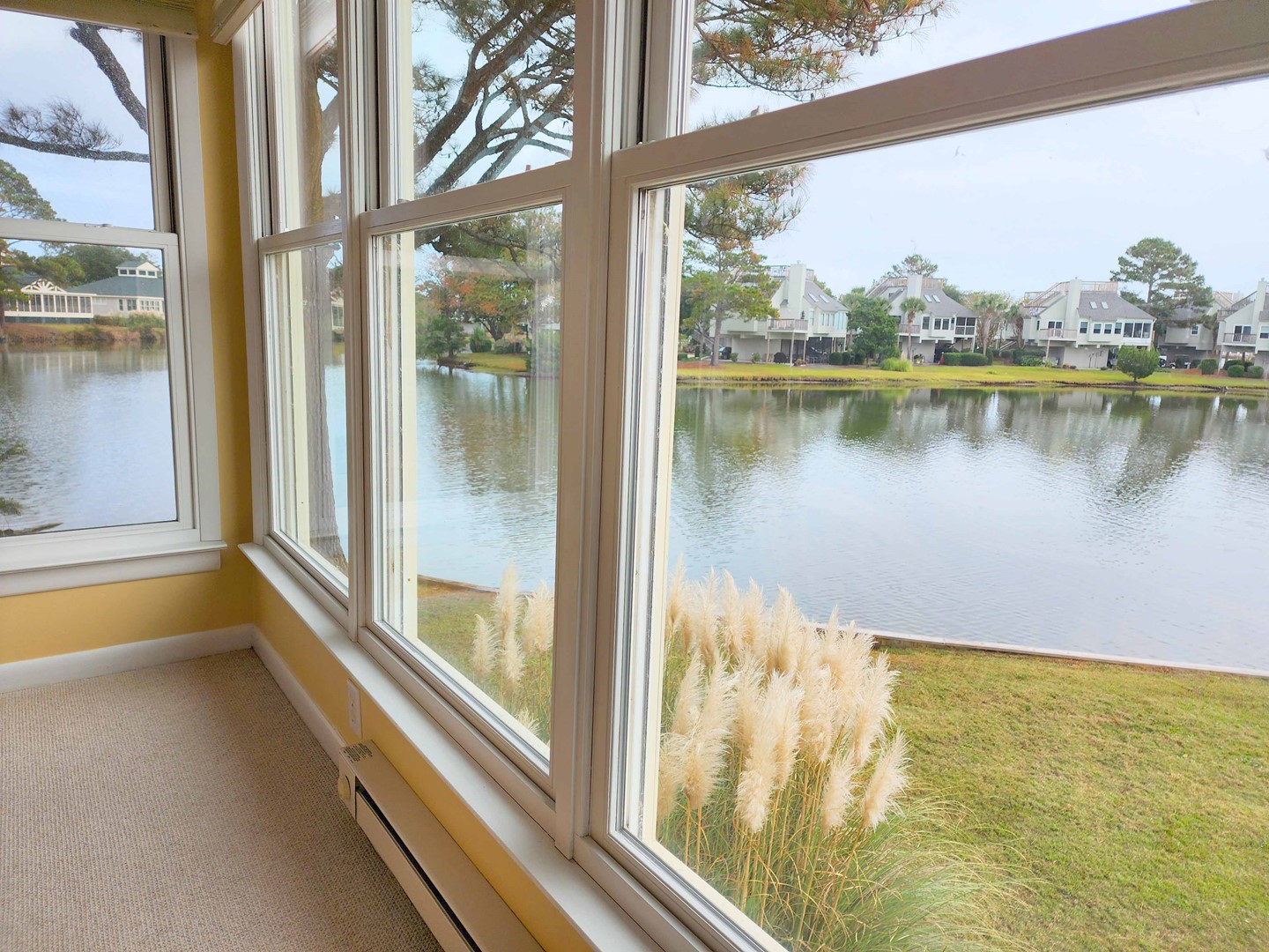 Beautiful Views of Osprey Lake