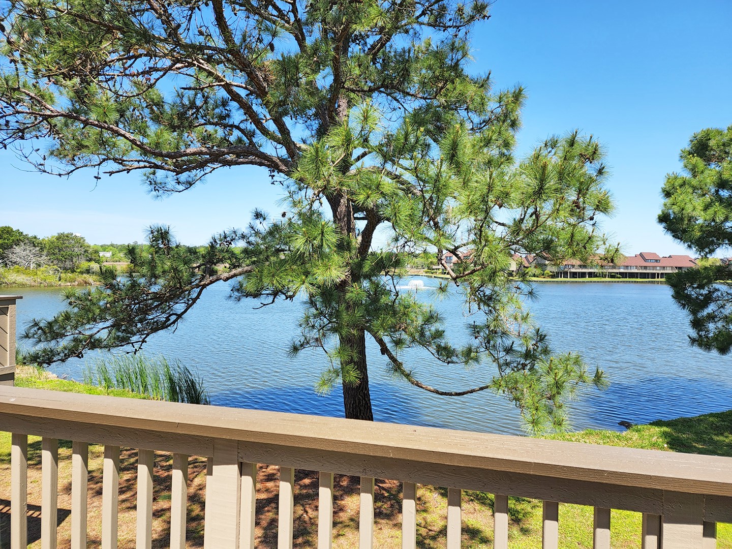 Heron Marsh Villa 74 3