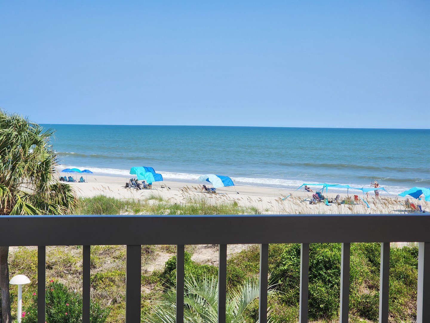Warwick 203 - Oceanfront