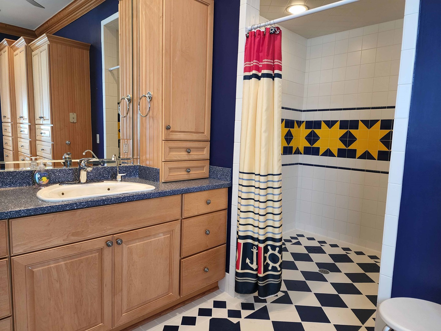 Primary Bathroom - Roll In Shower