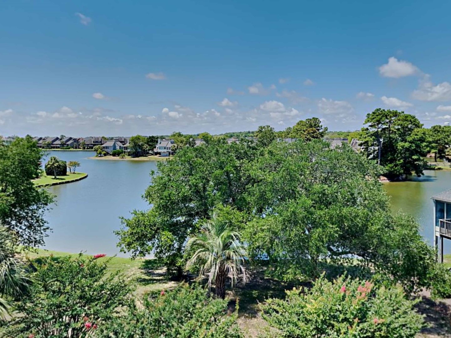View from Roof Top Deck