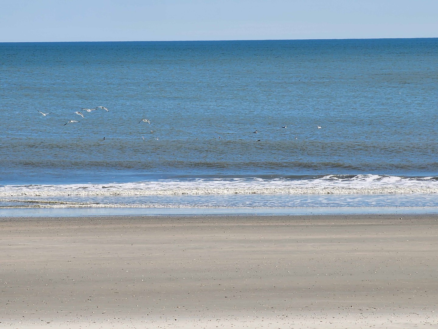 Shellabrate View to Ocean