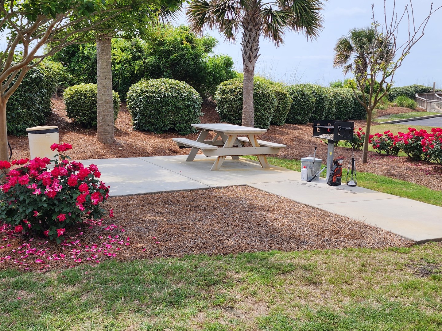 Picnic & Grill Area