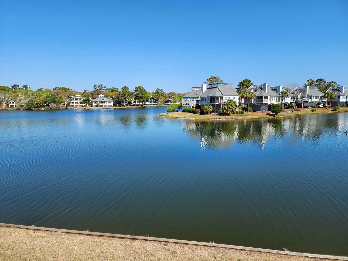 Beautiful View of Osprey Lake