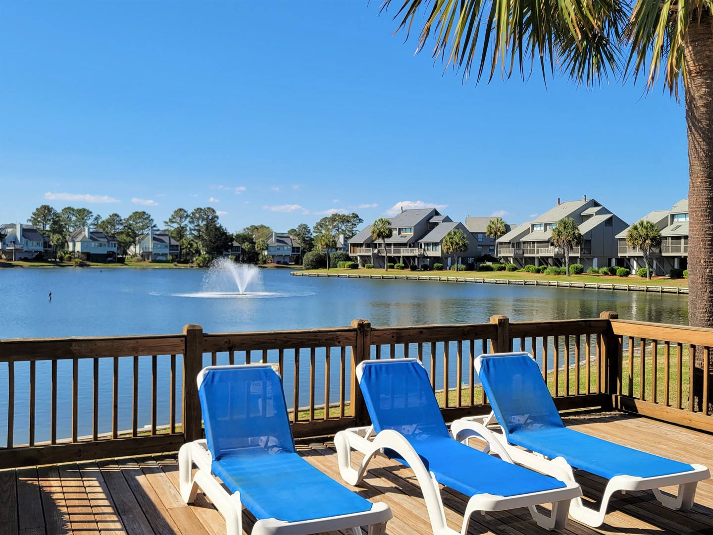 Pool Overlooks Osprey Lake