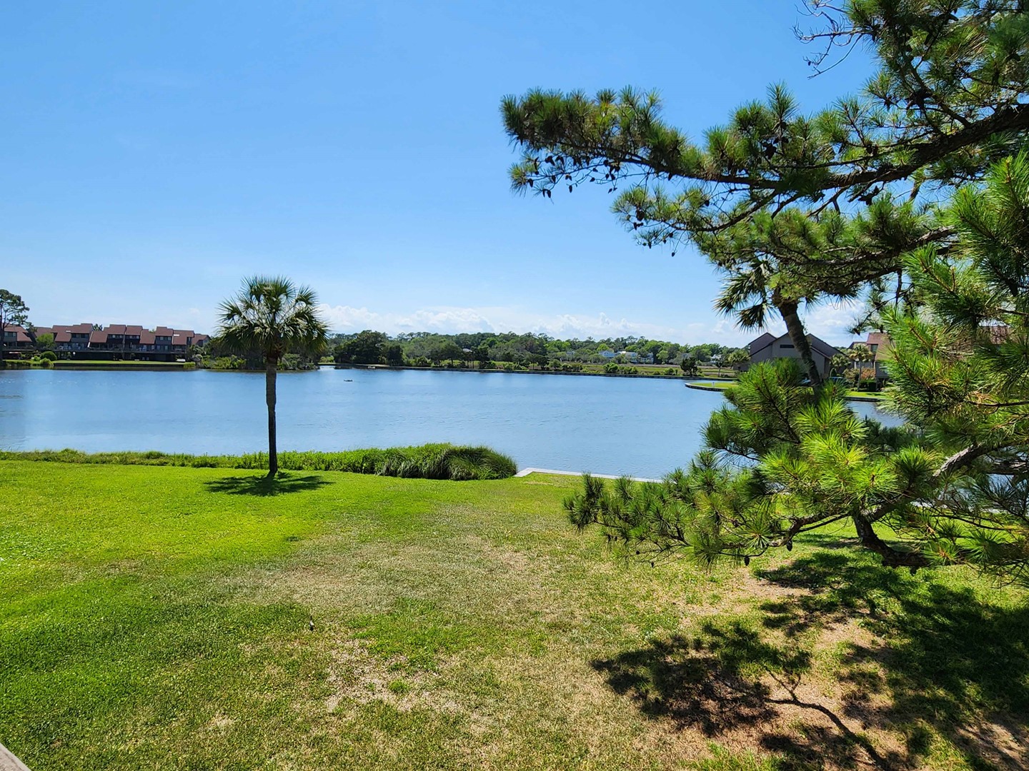 View of Heron Marsh Lake