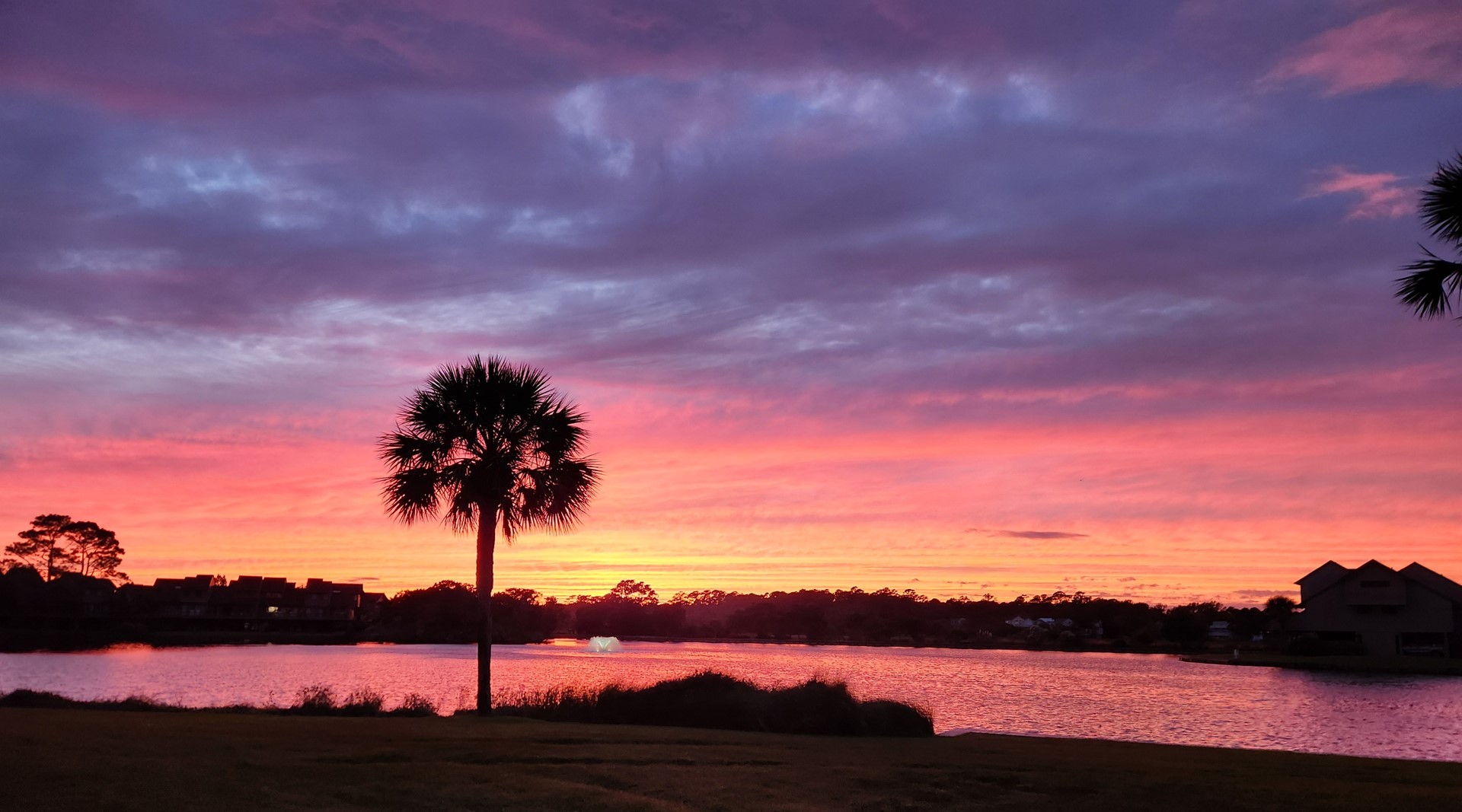 Heron Marsh Villa 49 3