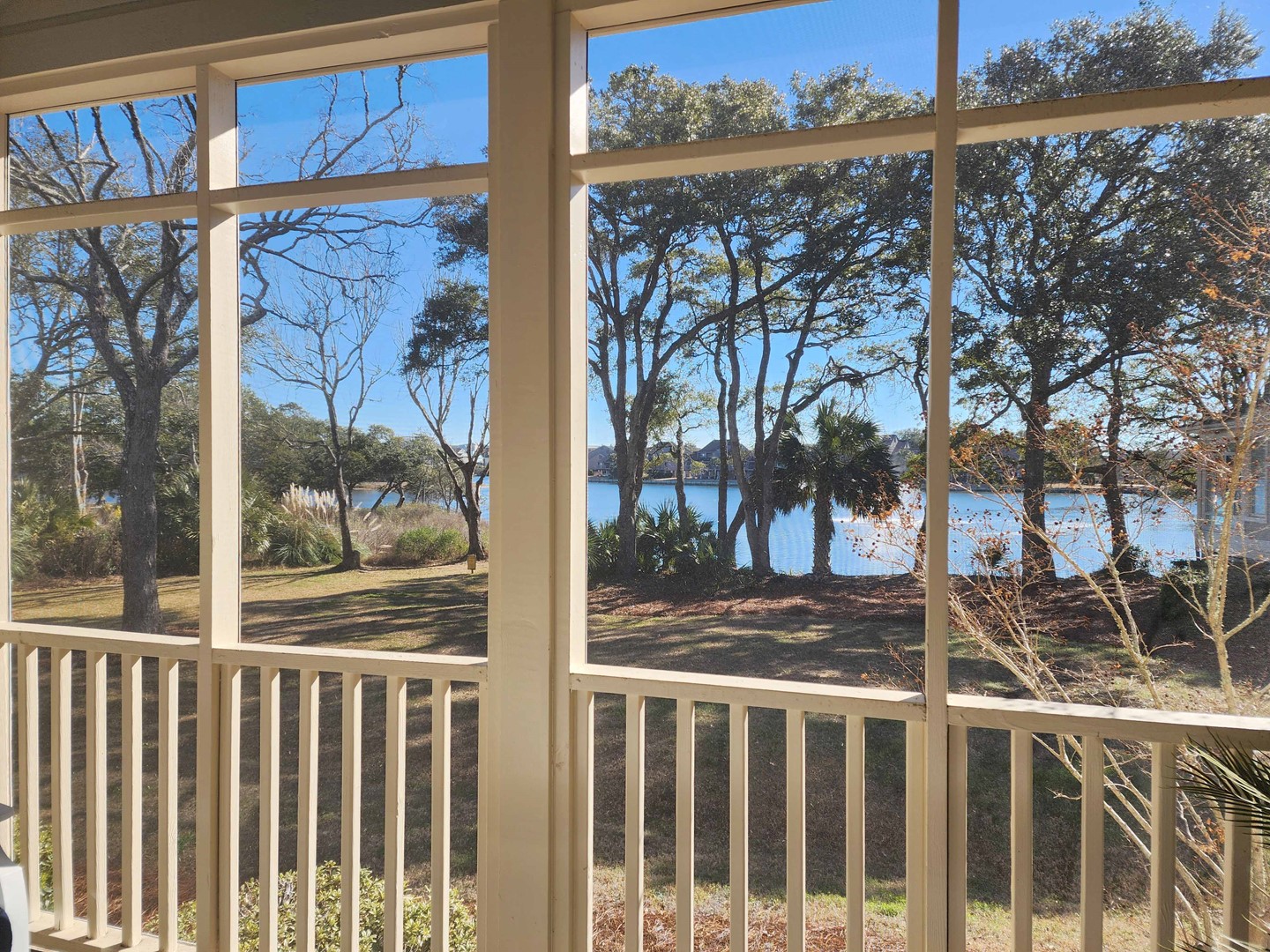 View from Screened Porch