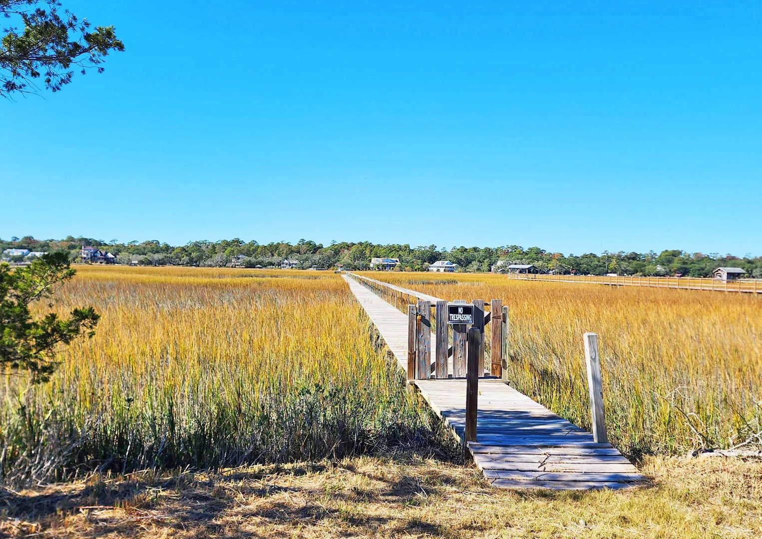 Oceanfront and Creek with Private Dock