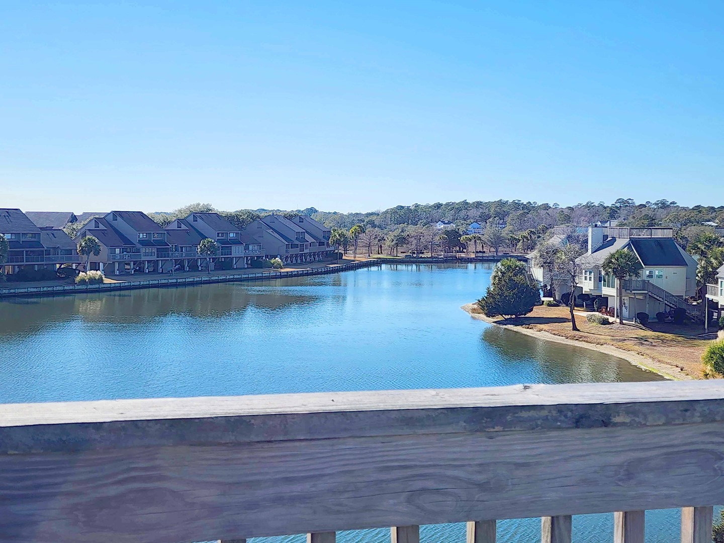 View from Rooftop Deck