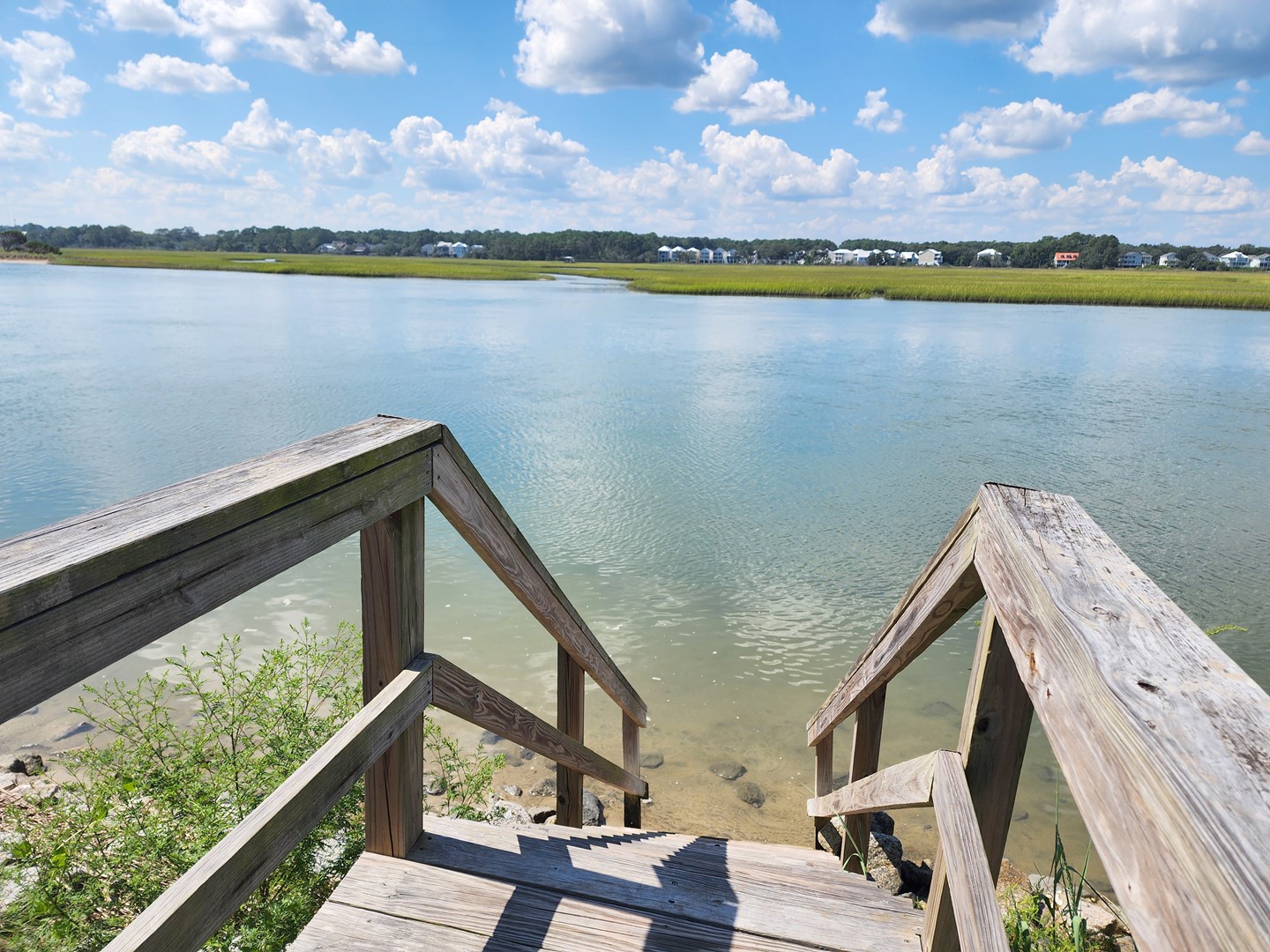 Palmetto-Cove-107