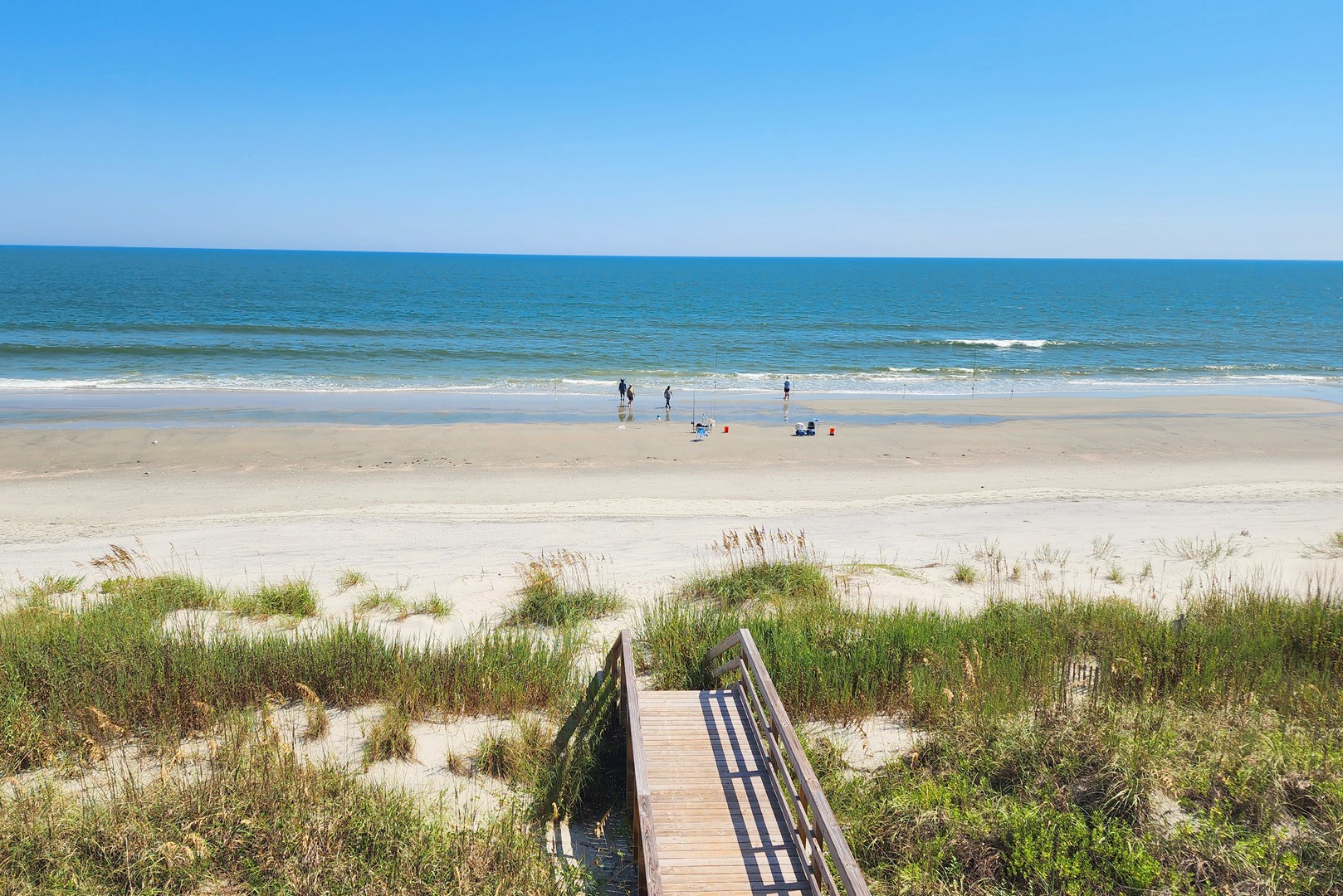 Palmetto-Cove-089