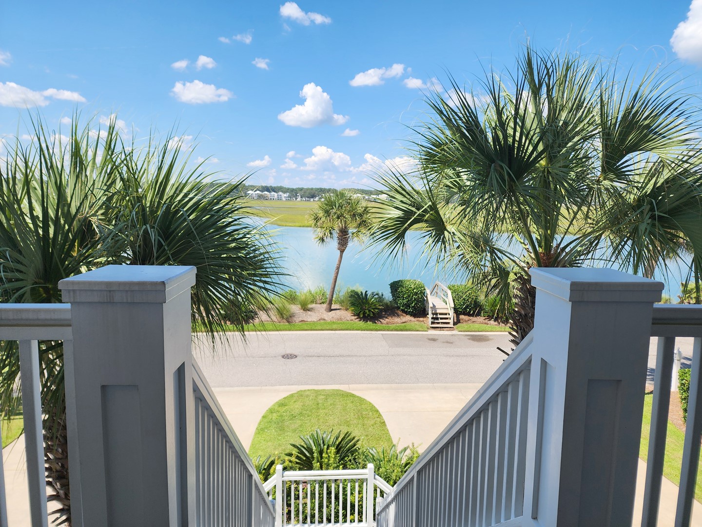 Palmetto-Cove-046