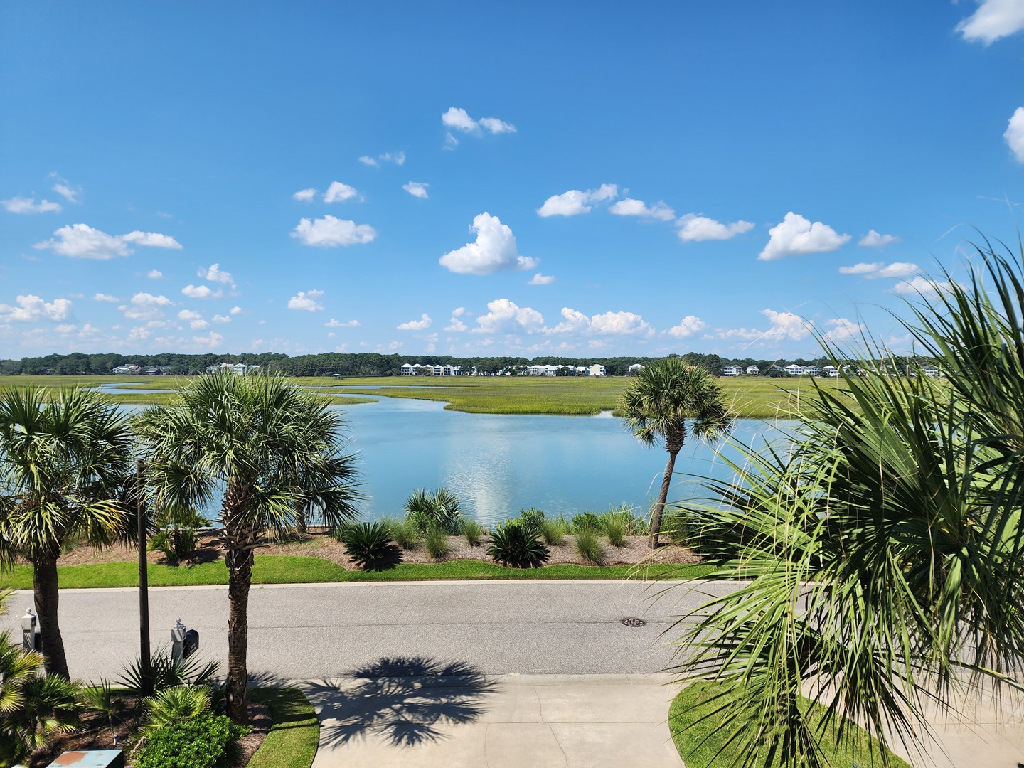 Palmetto-Cove-048