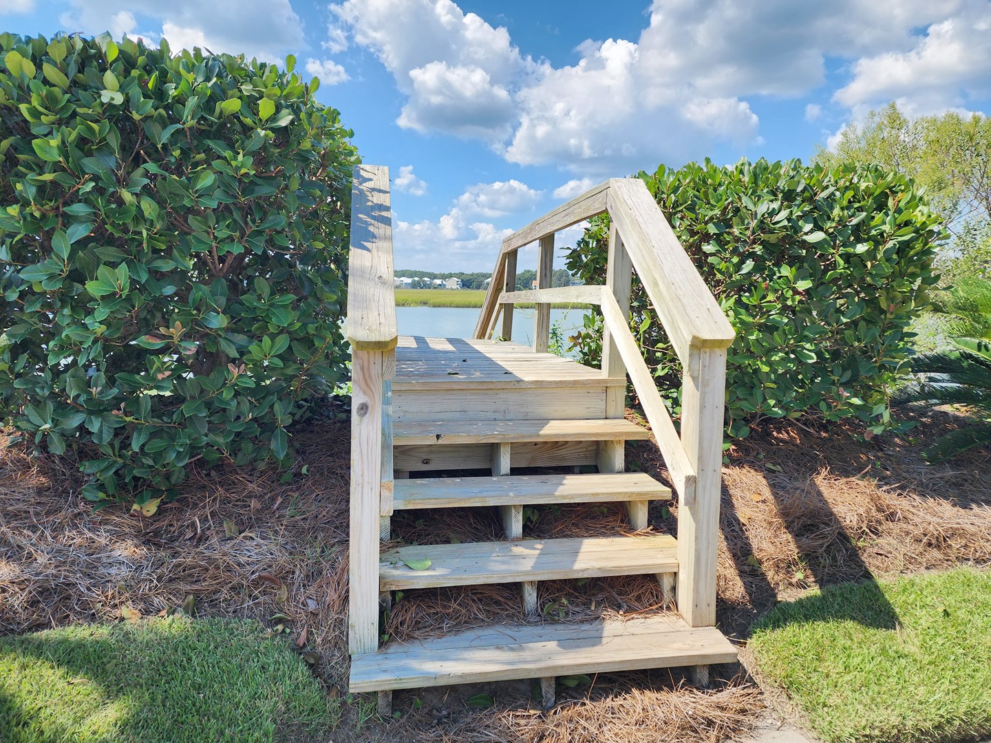 Palmetto-Cove-106