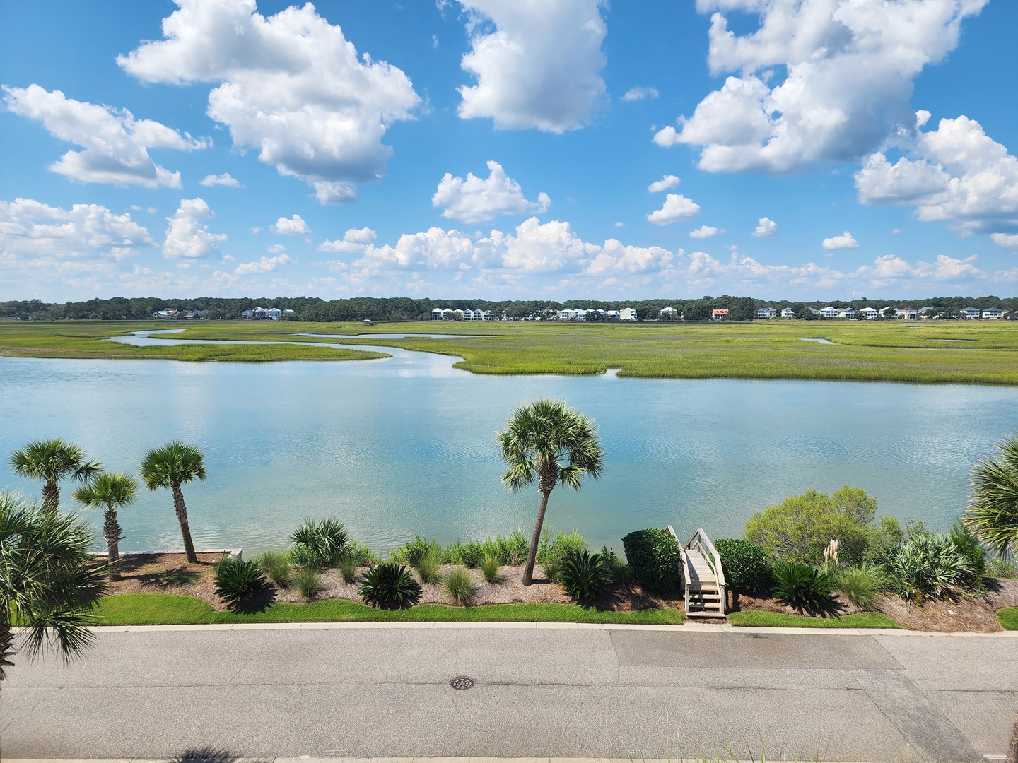 Palmetto-Cove-078