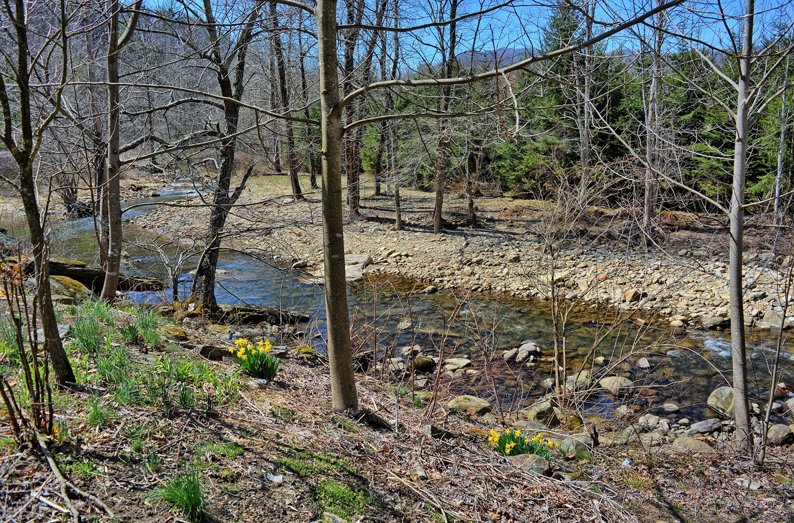 Alamo River House-Foscoe-Boone, NC 5