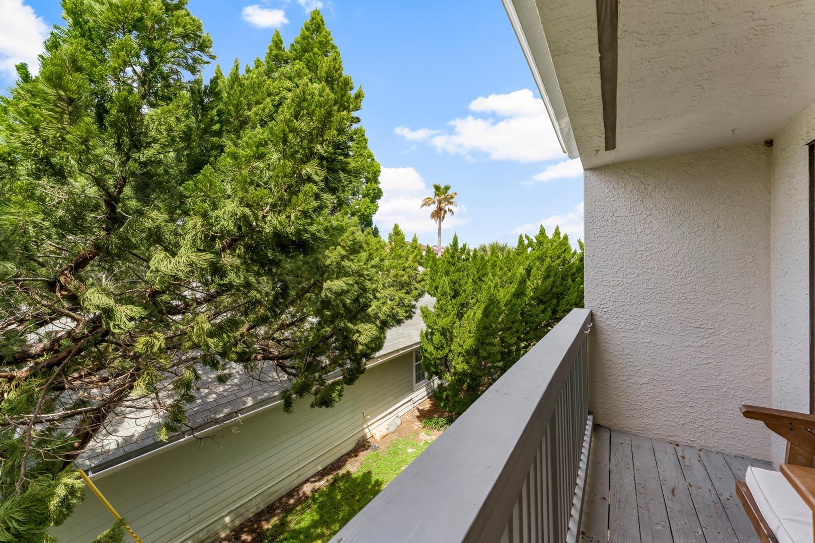 Endless Summer A44 7