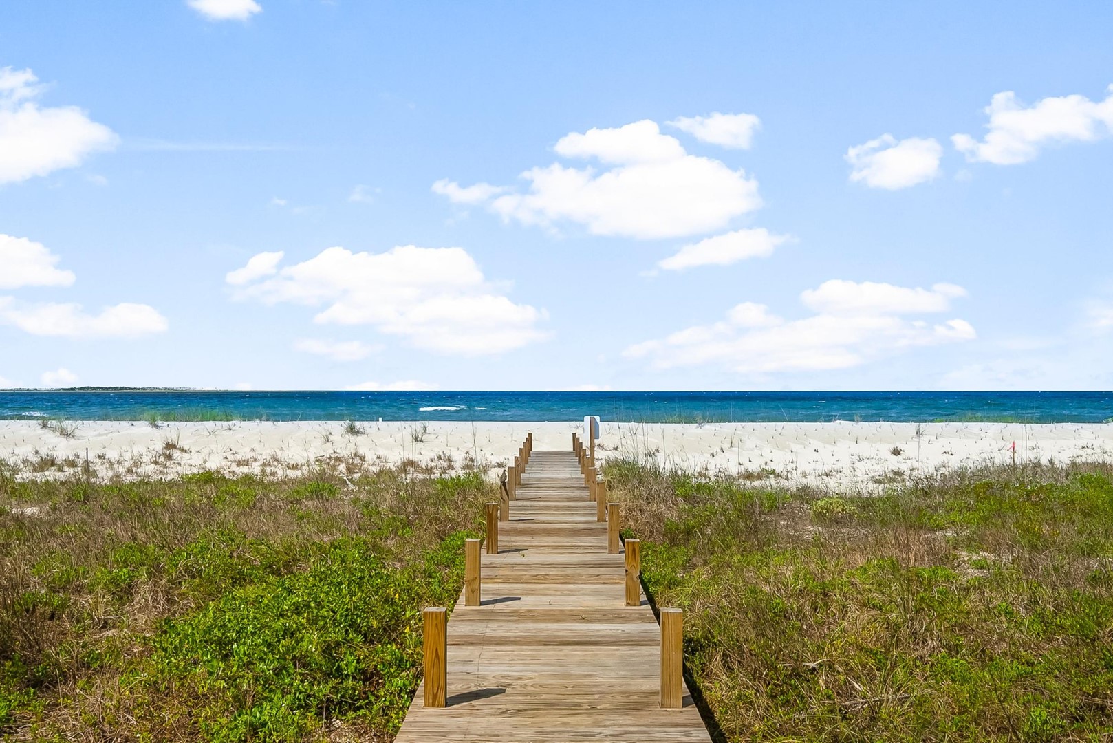 Beach House - In Good Company 3