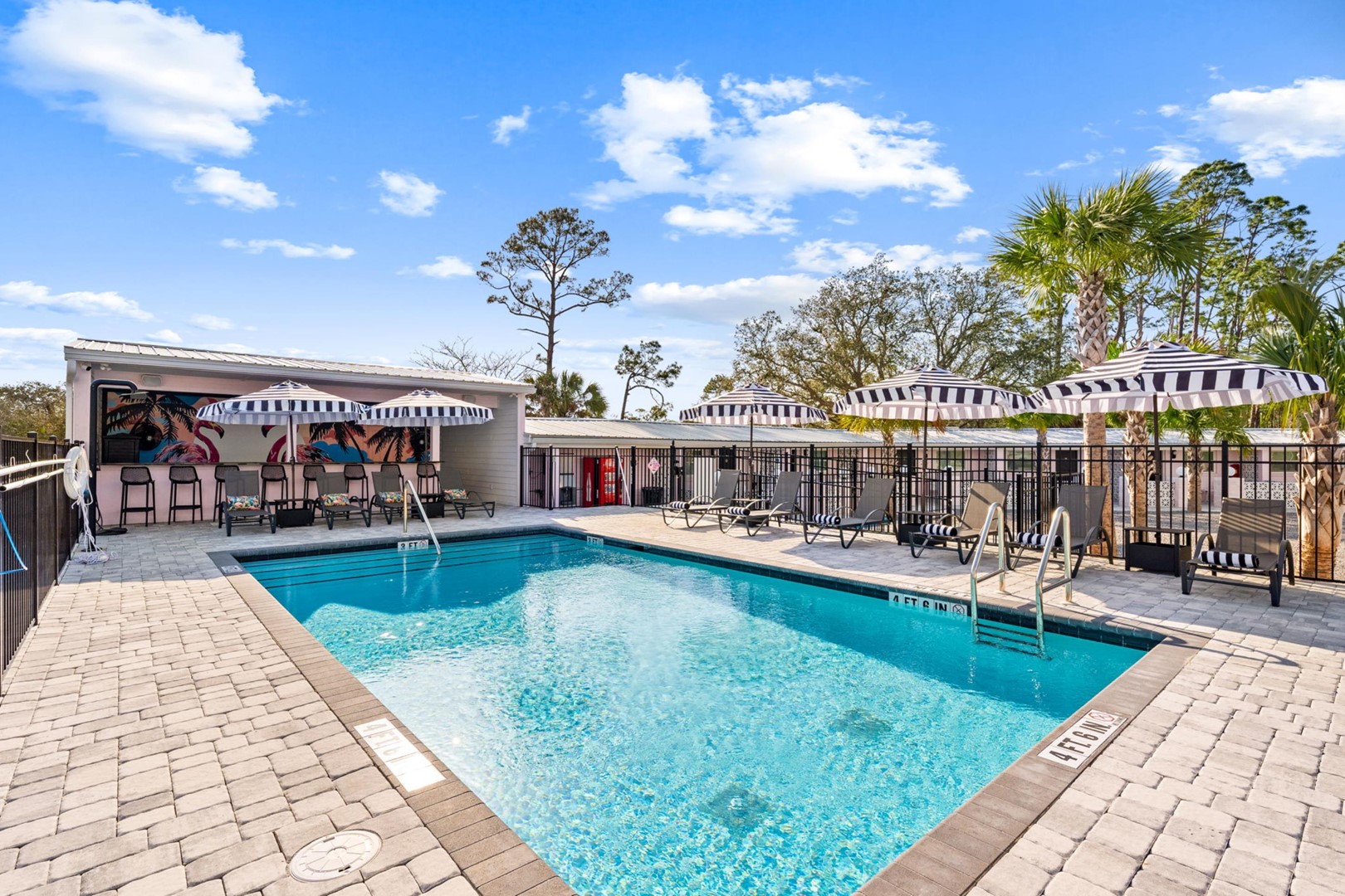 The Pink Flamingo - Palmira Saint Joe 2