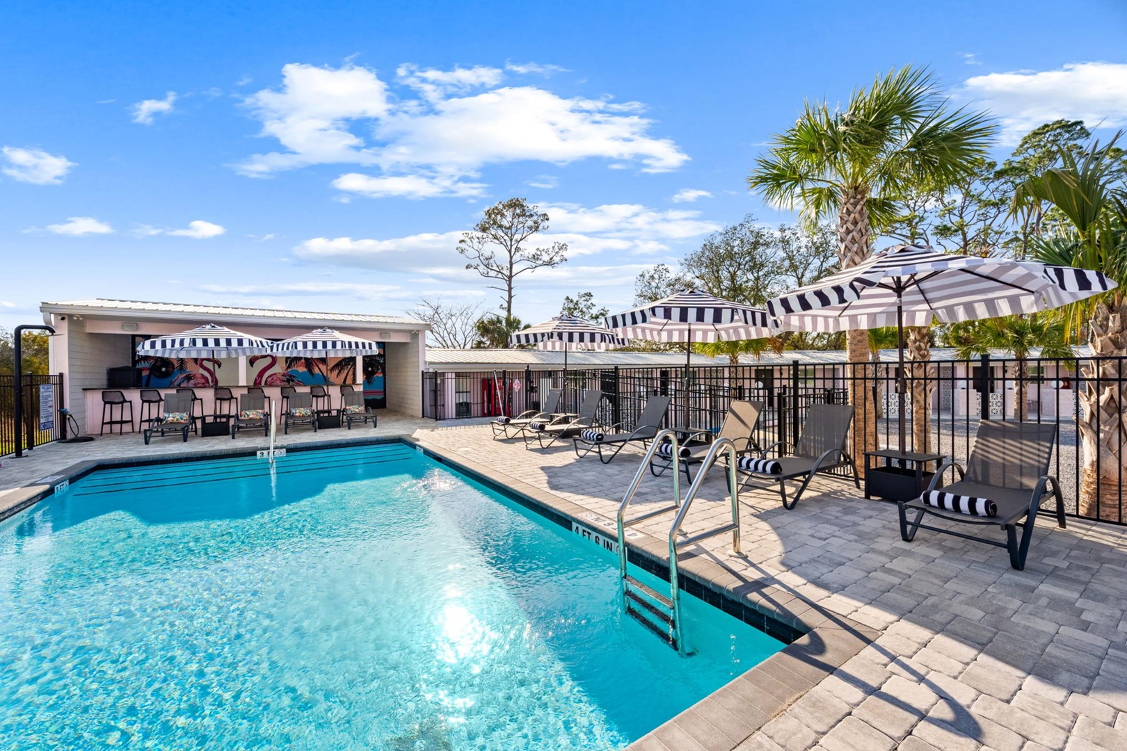 The Pink Flamingo - Palmira Saint Joe 3