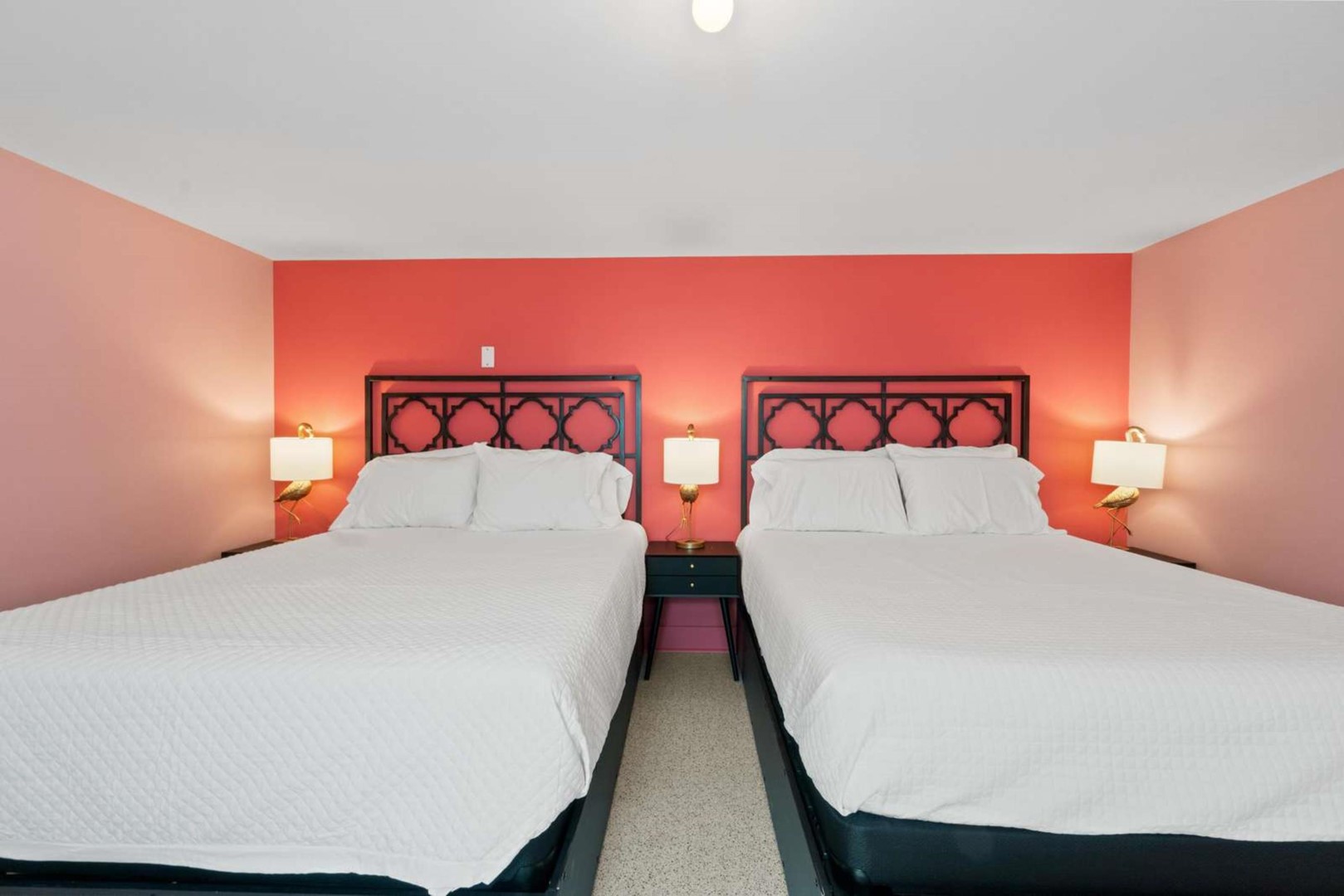 The Pink Flamingo - Rose Retreat Photo