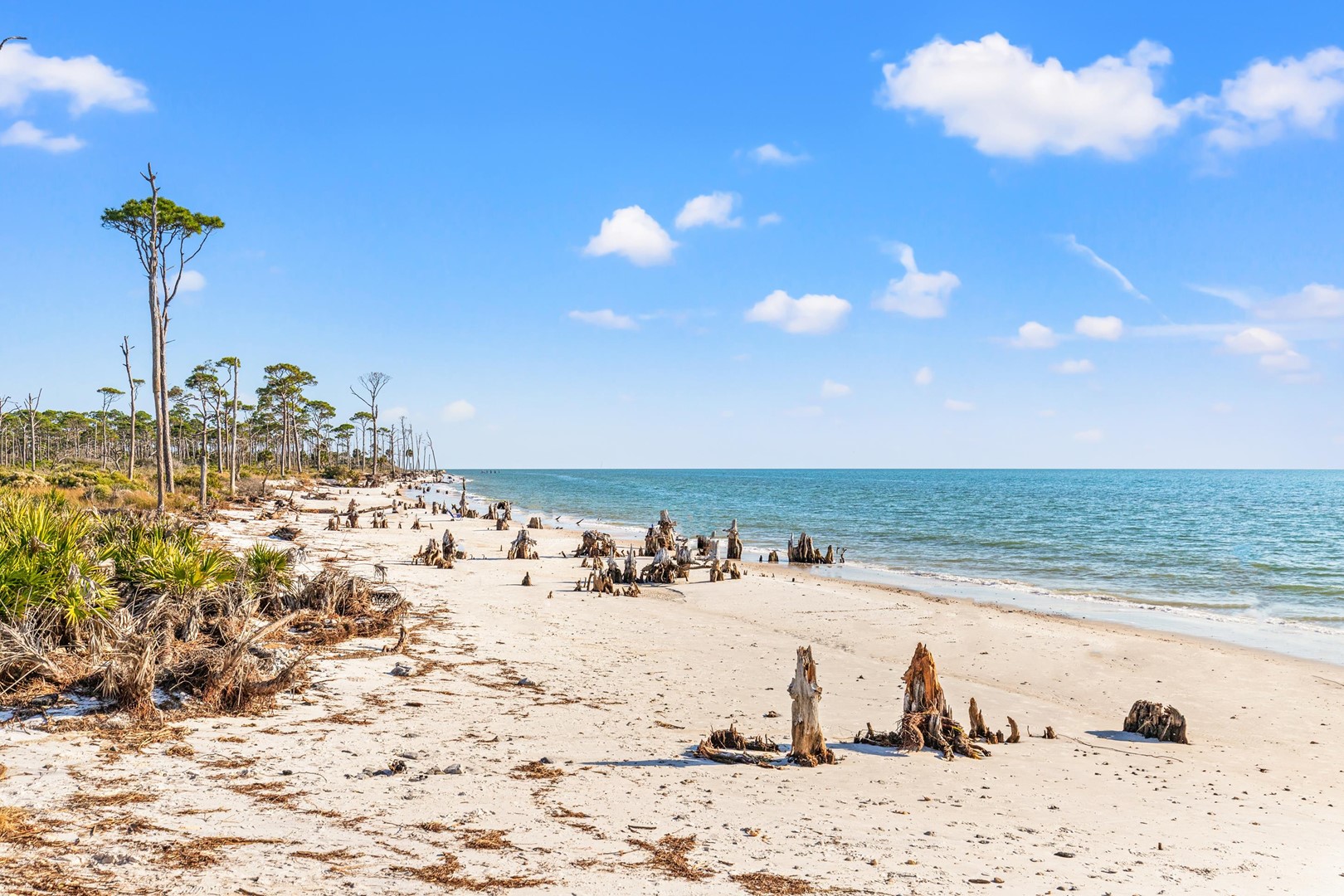 Stump Hole Beach Access